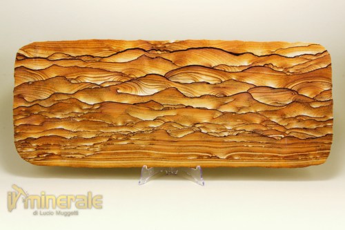 MN1627-2_minerali_collezione_arredamento_pietre_lavorate_paesina_arenaria.logo