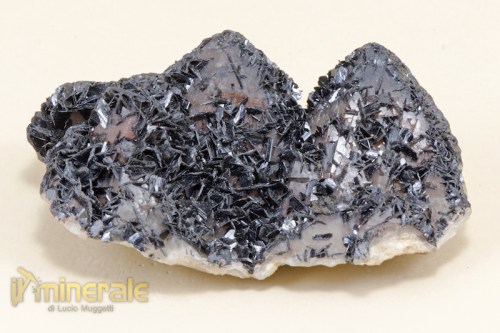 MN1637-2_minerali_collezione_ossidi_ematite_specularite.logo