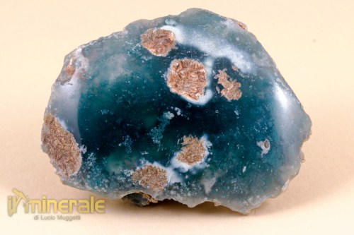 MN1640-2_minerali_collezione_calcedonio_mtorolite.logo