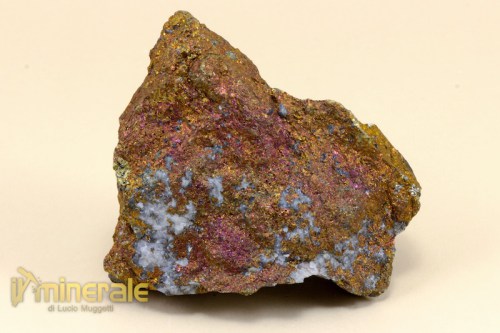 MN1649-2_minerali_collezione_ossidi_erubescite_calcopirite.logo