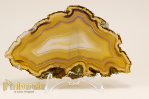 MN1683-2_minerali_collezione_arredamento_pietre_lavorate_agata.logo