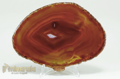 MN1688-2_minerali_collezione_arredamento_pietre_lavorate_agata_quarzo.logo