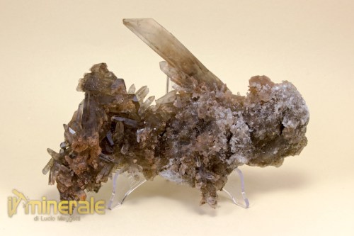 MN1720-2_minerali_collezione_silicati_quarzo_affumicato_brasile.logo