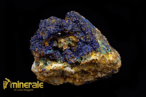 MN1732-1_minerali_collezione_carbonati_azzurrite_marocco.logo