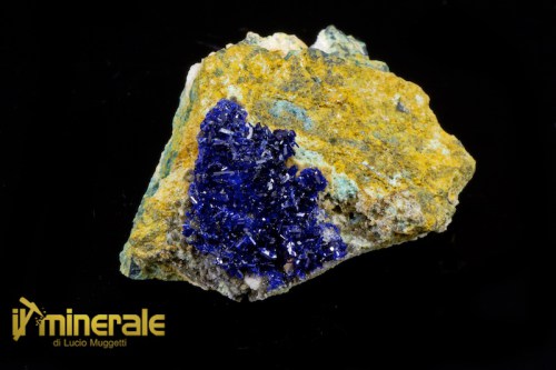 MN1740-1_minerali_collezione_carbonati_azzurrite_marocco.logo