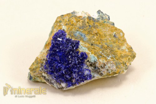 MN1740-2_minerali_collezione_carbonati_azzurrite_marocco.logo