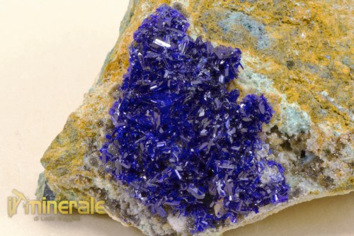 MN1740-3_minerali_collezione_carbonati_azzurrite_marocco.logo