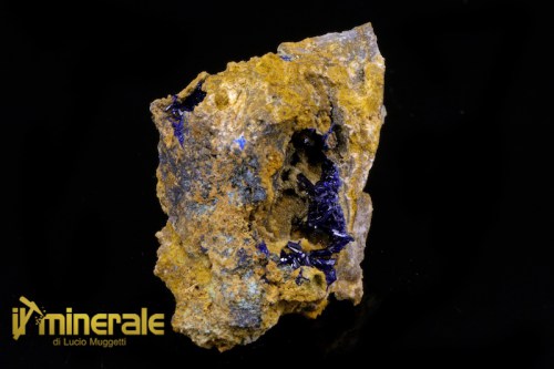 MN1741-1_minerali_collezione_carbonati_azzurrite_marocco.logo