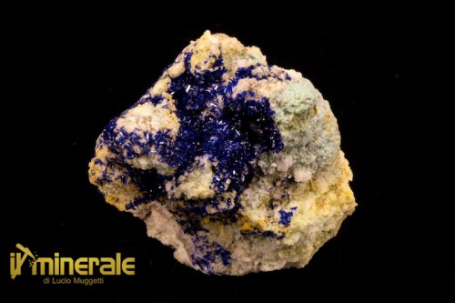 MN1742-1_minerali_collezione_carbonati_azzurrite_marocco.logo