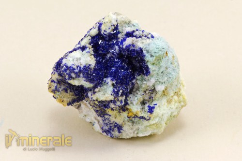 MN1742-2_minerali_collezione_carbonati_azzurrite_marocco.logo