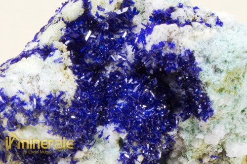 MN1742-3_minerali_collezione_carbonati_azzurrite_marocco.logo