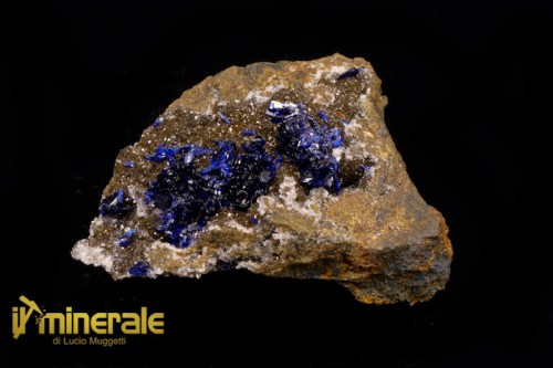 MN1748-1_minerali_collezione_carbonati_azzurrite_marocco.logo