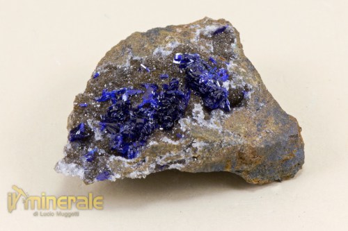 MN1748-2_minerali_collezione_carbonati_azzurrite_marocco.logo