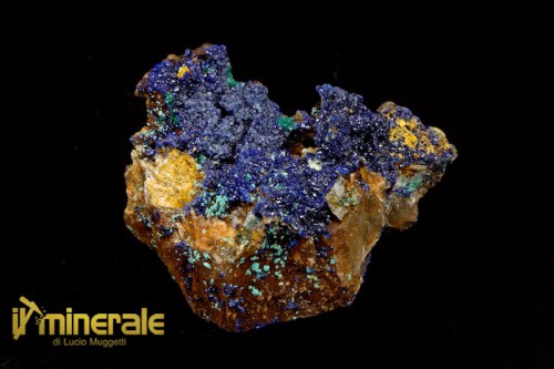 MN1751-1_minerali_collezione_carbonati_azzurrite_marocco.logo