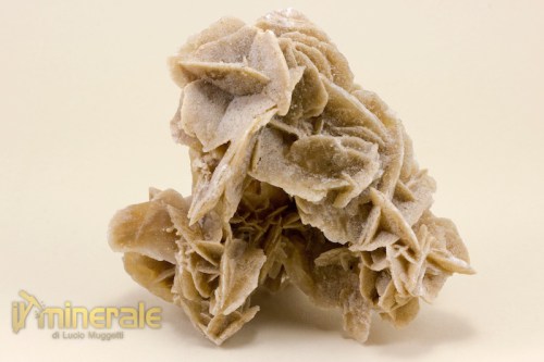 MN1780-2_minerali_collezione_arredamento_gesso_rose_del_deserto_tunisia.logo