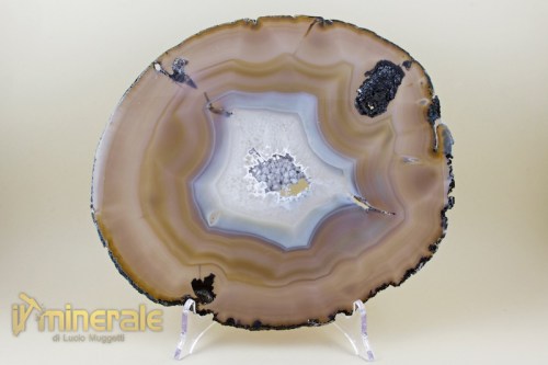 MN1802-2_minerali_collezione_arredamento_oggetti_lavorati_agata_fetta.logo