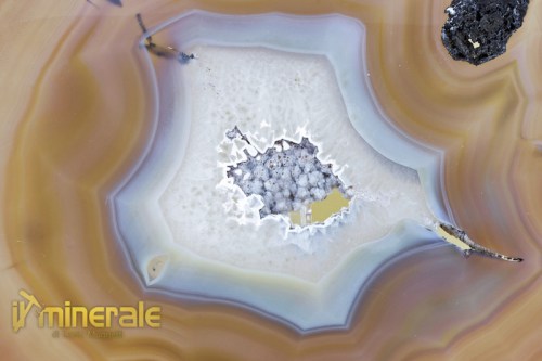 MN1802-3_minerali_collezione_arredamento_oggetti_lavorati_agata_fetta.logo