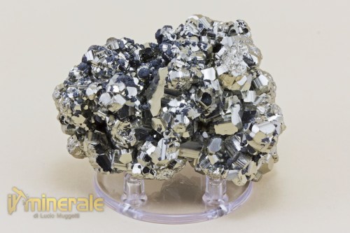 MN1805-2_minerali_collezione_solfuri_pirite_ferro.logo