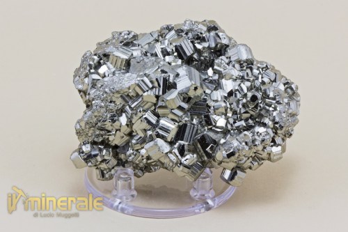 MN1806-2_minerali_collezione_solfuri_pirite_ferro.logo