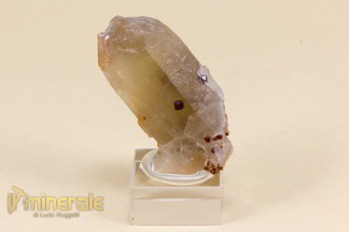 MN1859-2_minerali_collezione_granati_spessartina_quarzo.logo