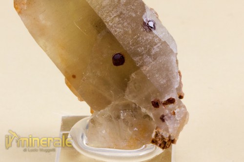 MN1859-3_minerali_collezione_granati_spessartina_quarzo.logo