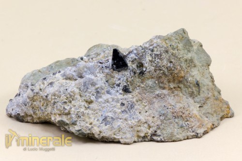 MN1897-2_minerali_collezione_anatasio.logo