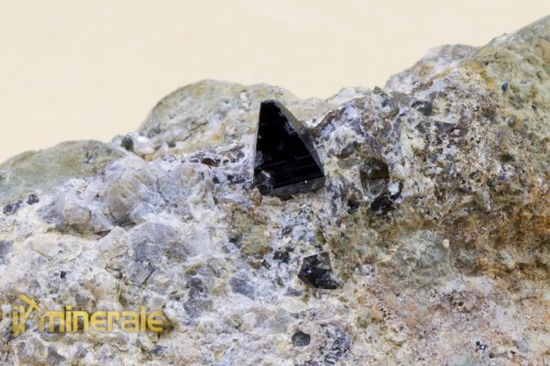 MN1897-3_minerali_collezione_anatasio.logo