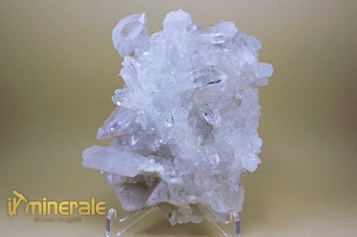 MN1909-2_minerali_collezione_quarzo_ialino_brasile.logo