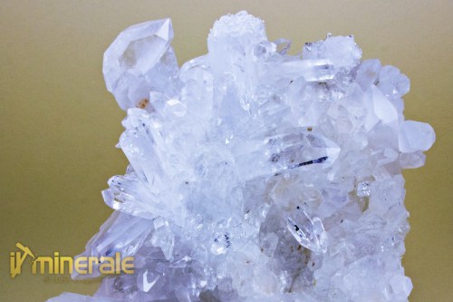 MN1909-3_minerali_collezione_quarzo_ialino_brasile.logo