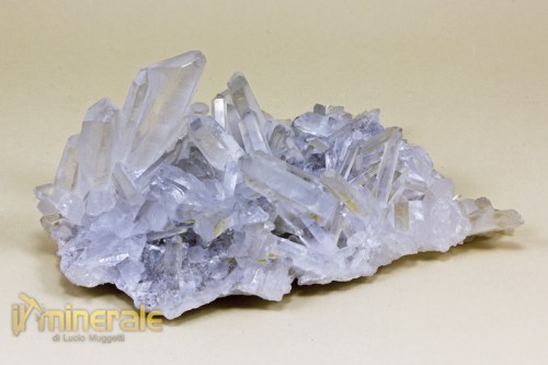 MN1910-2_minerali_collezione_quarzo_ialino_arkansas.logo