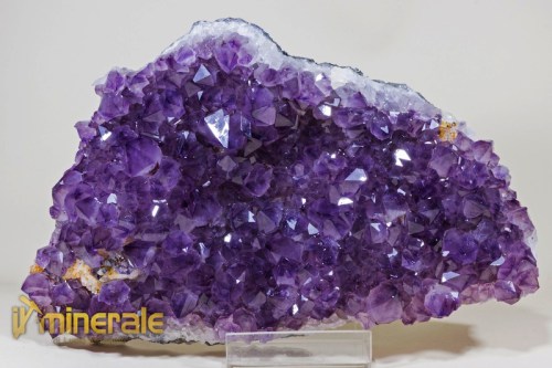 MN1937-2_minerali_collezione_arredamento_ametista_brasile-640