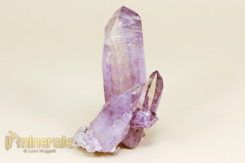 MN1951-2_minerali_collezione_quarzo_ametistino_vera_cruz.logo