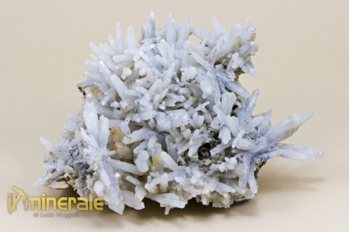 MN1956-2_minerali_collezione_quarzo_latteo.logo