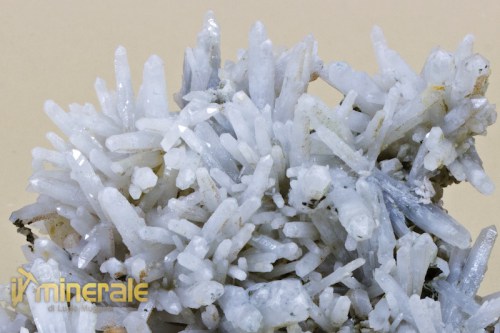 MN1956-3_minerali_collezione_quarzo_latteo.logo