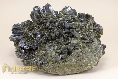 MN1957-2_minerali_collezione_epidoto.logo