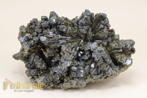 MN1957-3_minerali_collezione_epidoto.logo