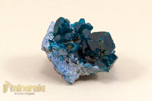 MN1958-2_minerali_collezione_dioptasio.logo