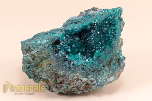 MN1960-2_minerali_collezione_dioptasio.logo