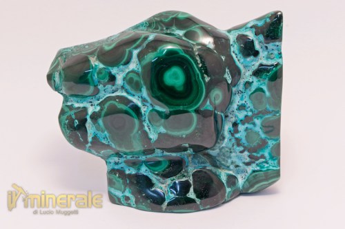 MN1983-2_minerali_collezione_carbonati_malachite_crisocolla_lucidata.logo