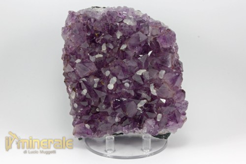 MN2004-2_minerali_collezione_arredamento_silicati_quarzo_ametista.logo