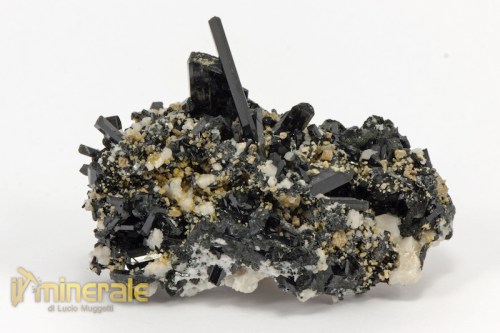 MN2009-2_minerali_collezione_egirina_aegirina_feldspati_zircone.logo