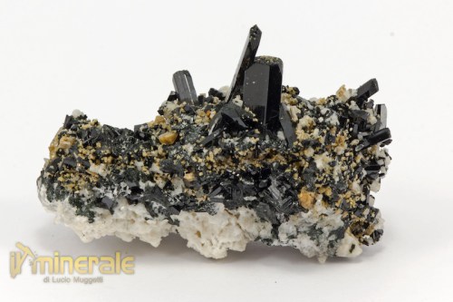 MN2009-3_minerali_collezione_egirina_aegirina_feldspati_zircone.logo