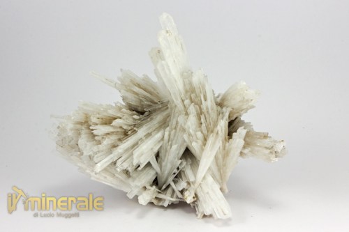 MN2066-2_minerali_collezione_zeoliti_scolecite_india.logo