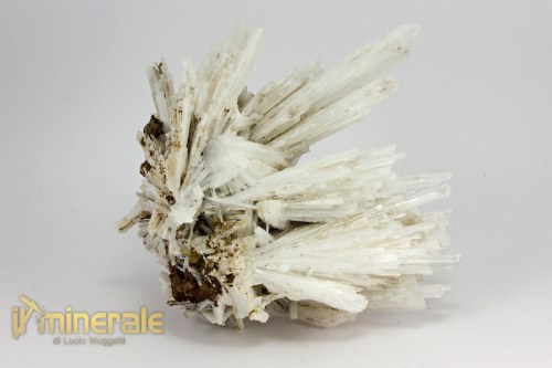 MN2066-3_minerali_collezione_zeoliti_scolecite_india.logo