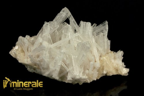 MN2067-1_minerali_collezione_zeoliti_scolecite_india.logo