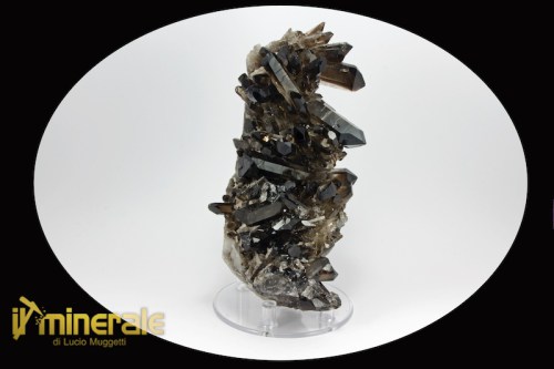 MN2073-1_minerali_collezione_silicati_quarzo_affumicato_morione_brasile.logo