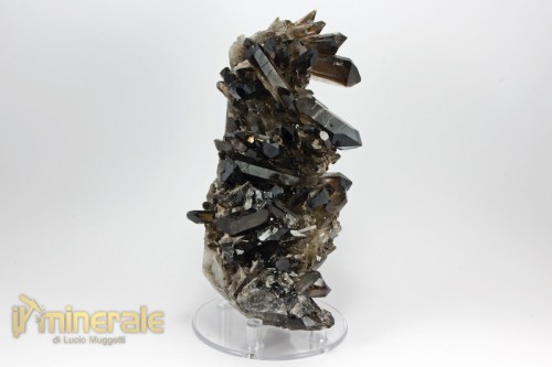 MN2073-2_minerali_collezione_silicati_quarzo_affumicato_morione_brasile.logo