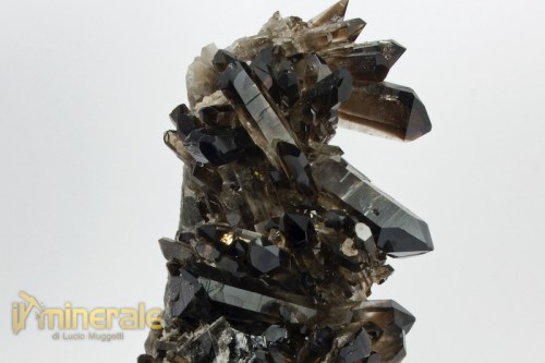 MN2073-3_minerali_collezione_silicati_quarzo_affumicato_morione_brasile.logo