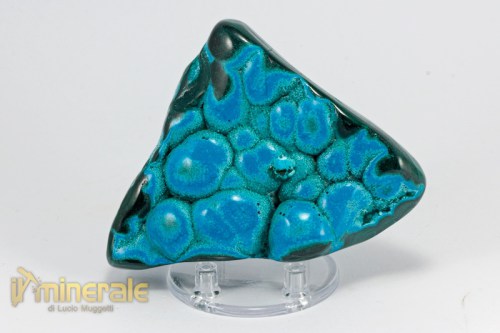 MN2080-2_minerali_collezione_crisocolla_malachite_congo.logo