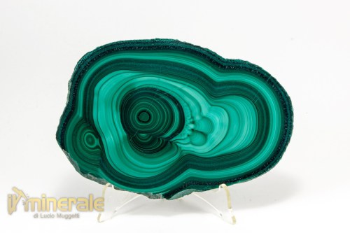 MN2082-2_minerali_collezione_carbonati_malachite_congo.logo